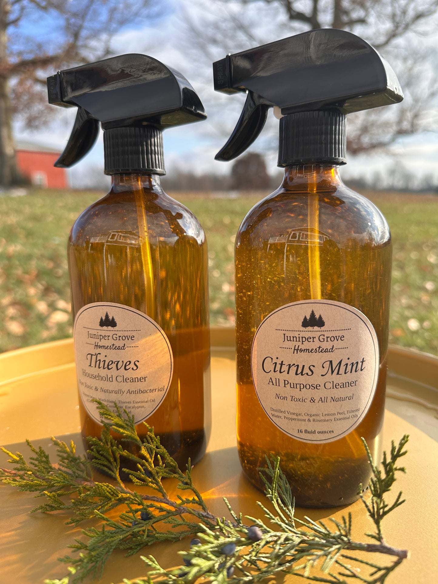 Citrus Mint All Purpose Cleaner