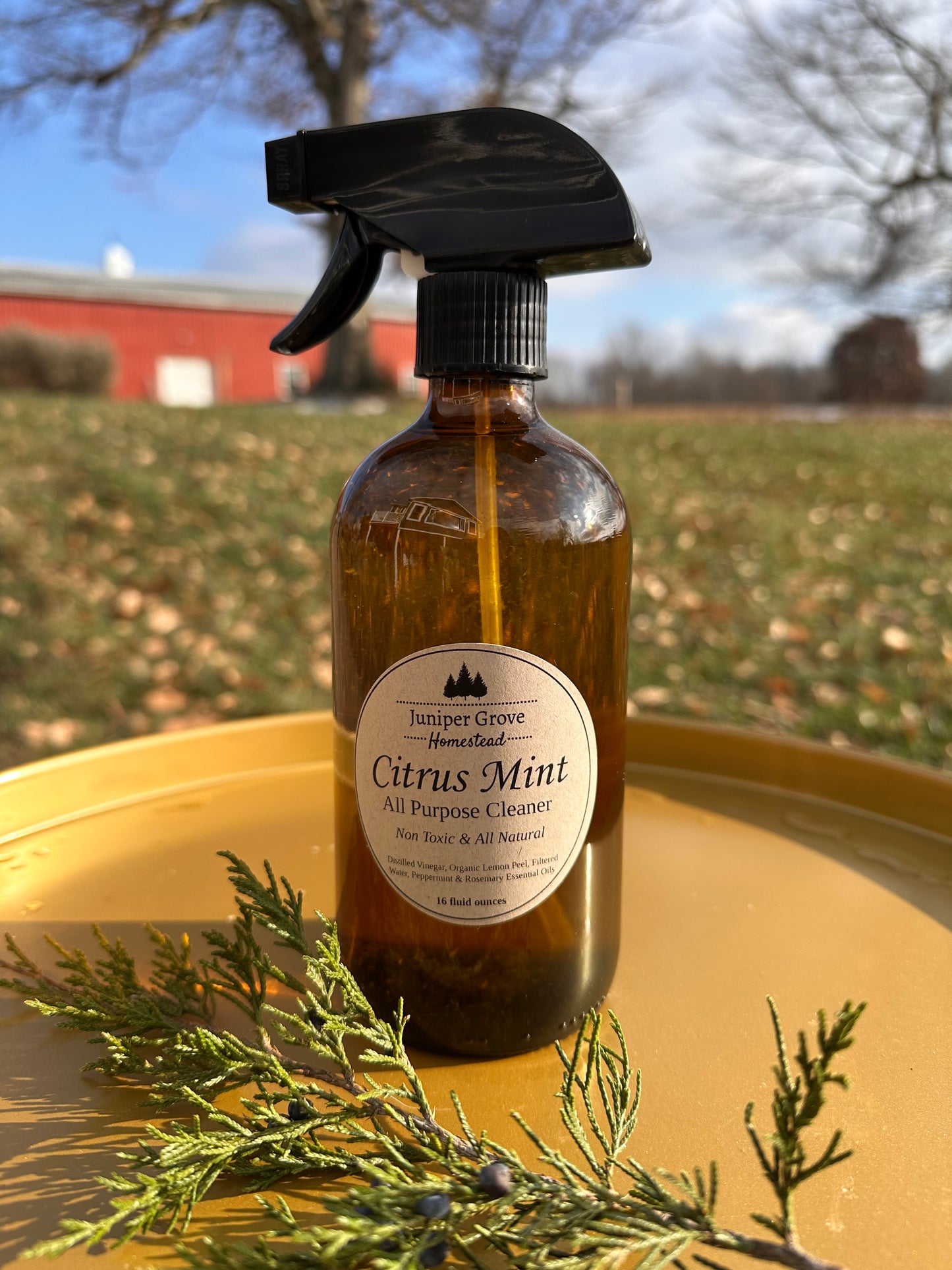 Citrus Mint All Purpose Cleaner
