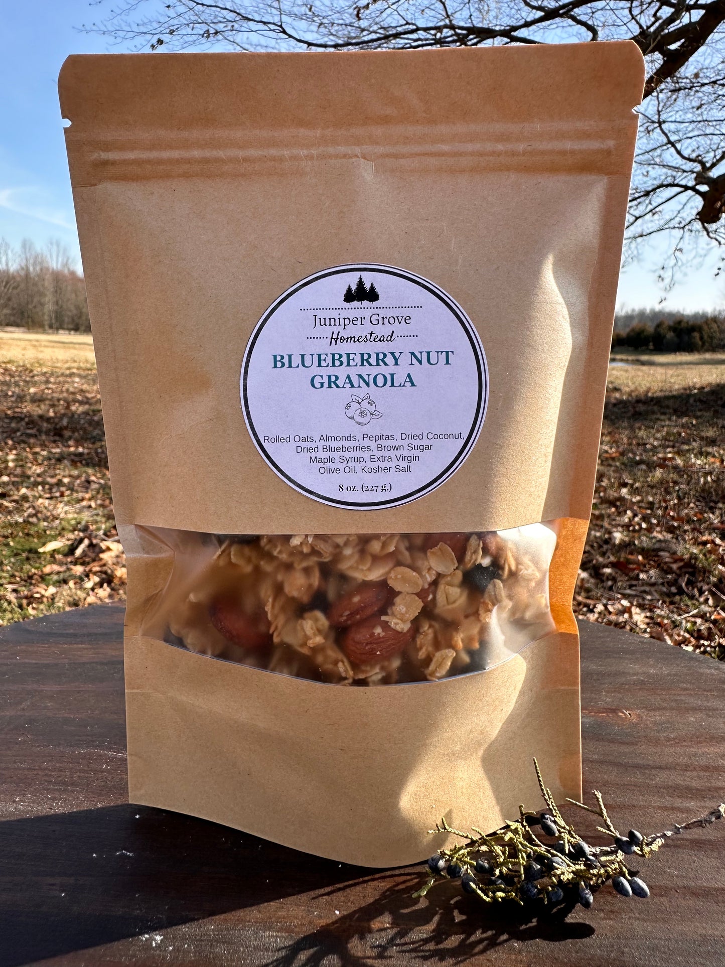 Blueberry Nut Granola