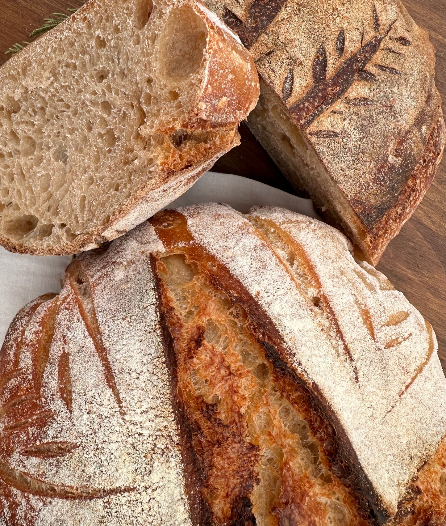 Sourdough Starter