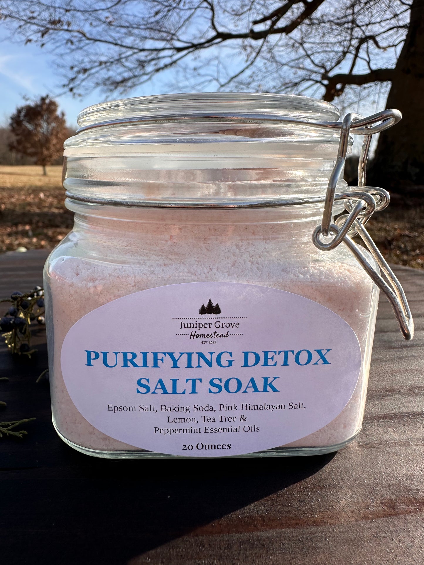Purifying Detox Salt Soak