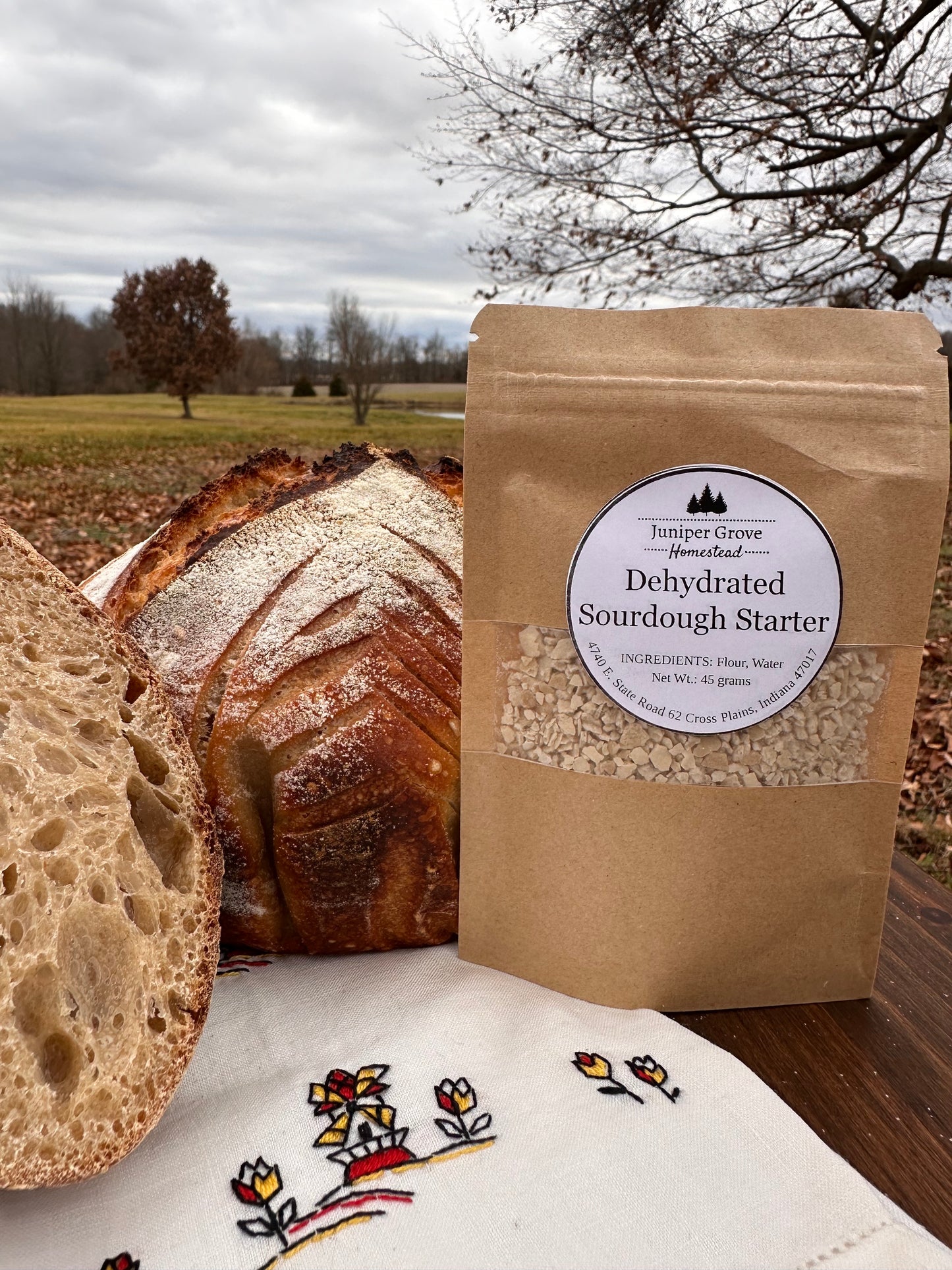 Sourdough Starter