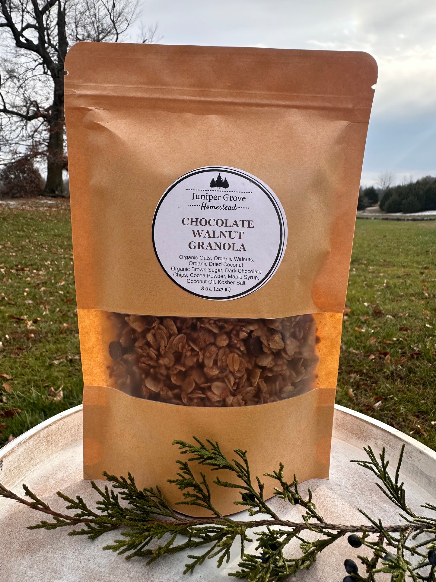 Chocolate Walnut Granola